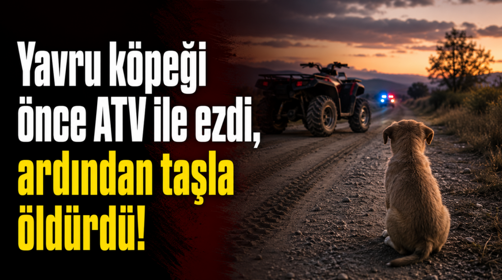 Yavru Köpeği Önce ATV ile Ezdi, Ardından Taşla Öldürdü!