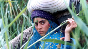 Gabbeh – Hayatın Renkleri Filmi Konusu, Oyuncuları