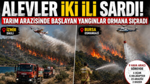 Alevler iki ili sardı.. Tarım arazisinde başlayan yangınlar ormanlara sıçradı!
