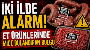Bakanlık ifşa etti! Dana diye satılan ürünlerde şoke eden bulgu