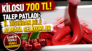 Kilosu 700 TL! Talep patladı: İl dışından bile almaya geliyorlar