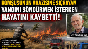 Komşusunun arazisine sıçrayan yangını söndürmek isterken hayatını kaybetti!